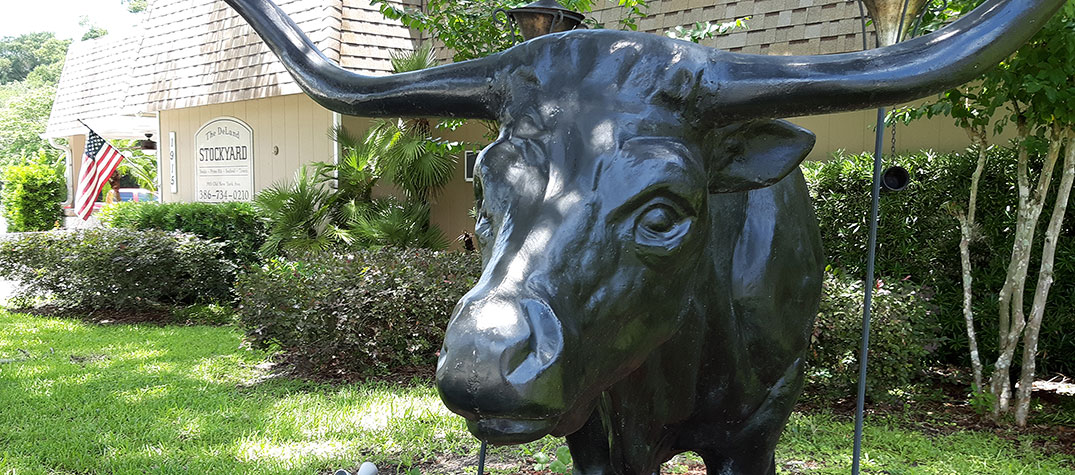 The Stockyard Bull